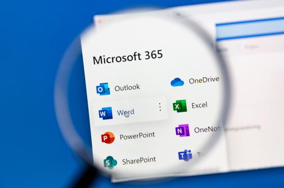 m365